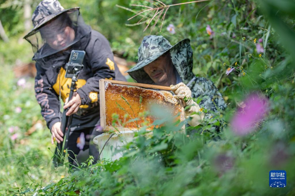 线上正规实体平台
